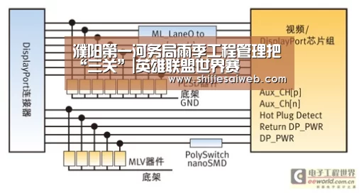 濮阳第一河务局雨季工程管理把“三关”|英雄联盟世界赛