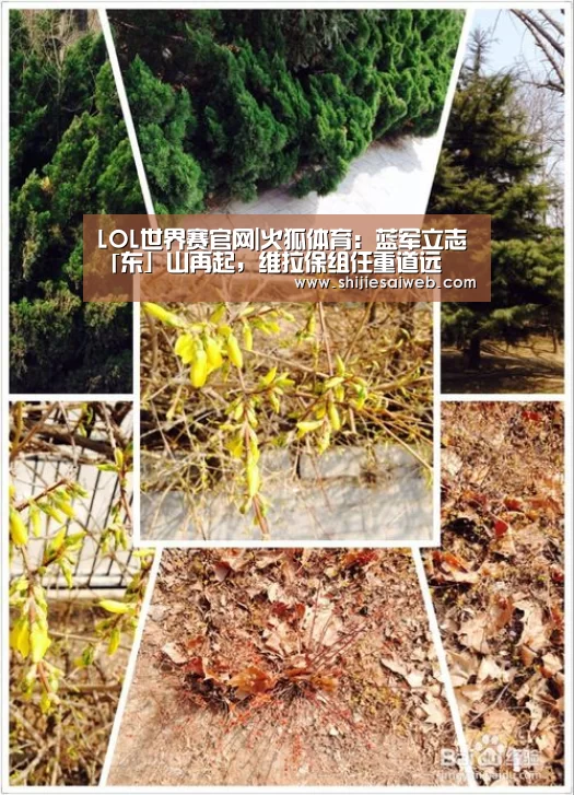 英雄联盟世界赛