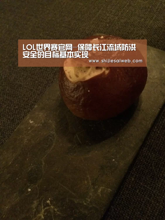 LOL世界赛官网-保障长江流域防洪安全的目标基本实现