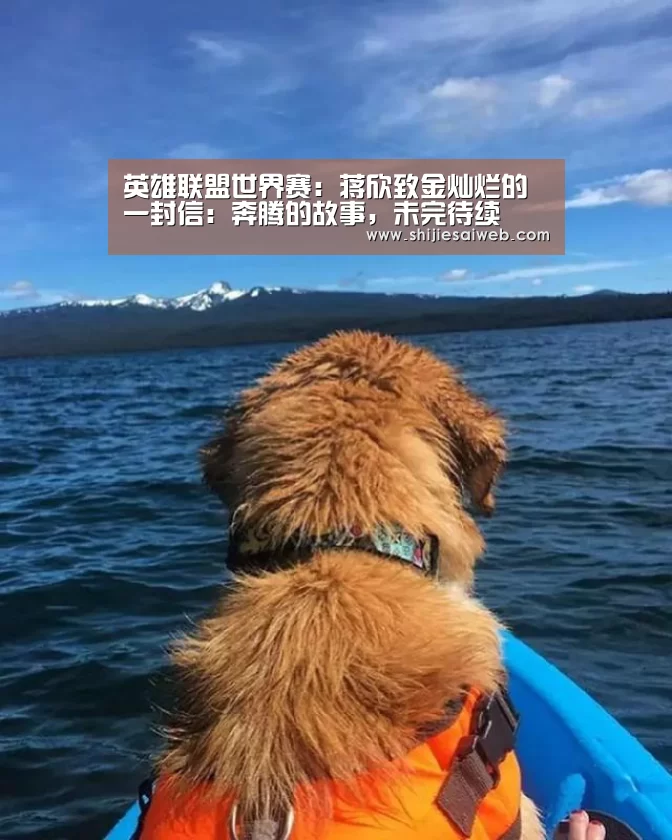 英雄联盟世界赛：蒋欣致金灿烂的一封信：奔腾的故事，未完待续