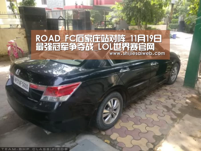 ROAD FC石家庄站对阵 11月19日最强冠军争夺战_LOL世界赛官网