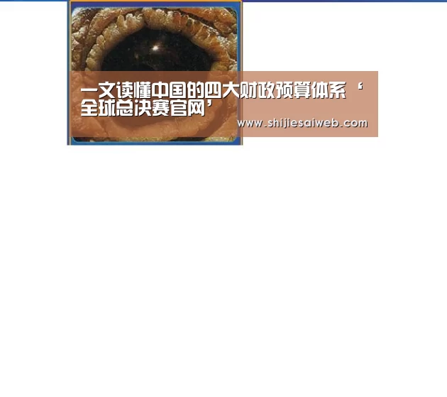 LOL世界赛官网