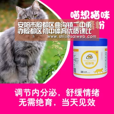 英雄联盟世界赛